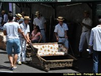 Portugal - Madere - Funchal - 015